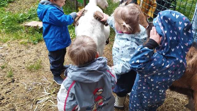 Visite chèvrerie et fabrication d'un baume : atelier parents/enfants