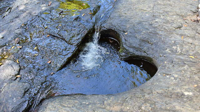 Sentier pédestre de la cascade