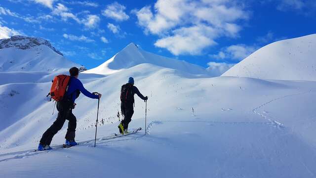 Ski de randonnée