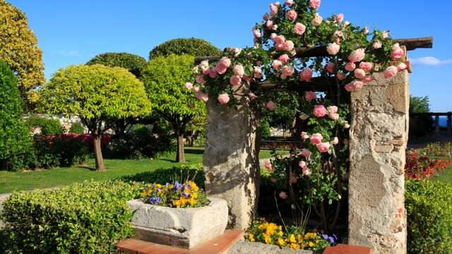 Jardin du Monastère de Cimiez