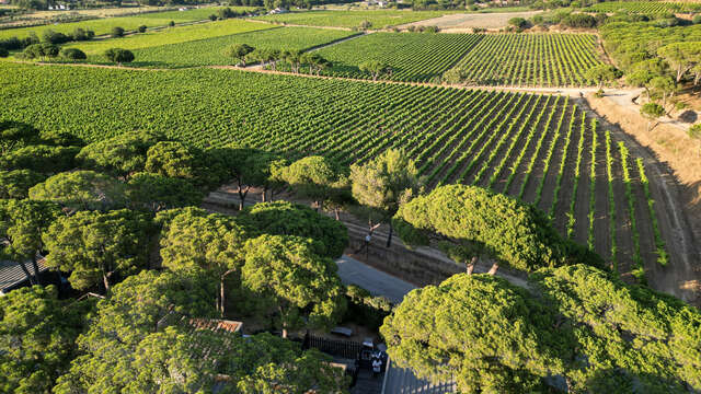 Domaine des Tournels