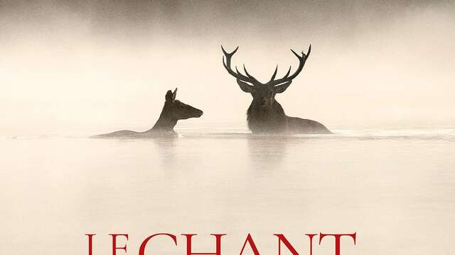 Séance de cinéma "Le chant des forêts"