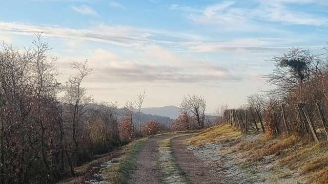Hiking - Coligny and the Vergongeat plateau