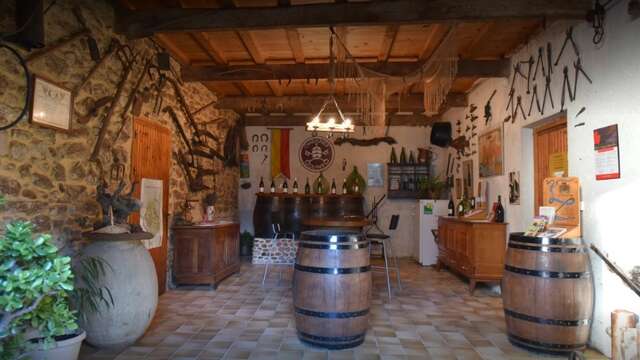 Activités oenotouristiques au Domaine Saint Laurent