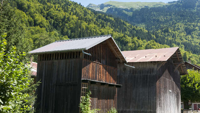 Boucle VTT : Le Tour des Vallons