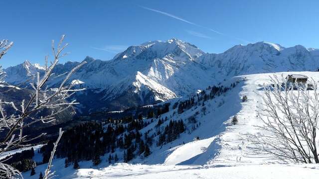 Sortie raquettes Chalet de la Mouille