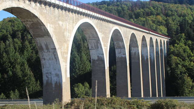 Sentier découverte du viaduc du pont marteau : les chauves-souris