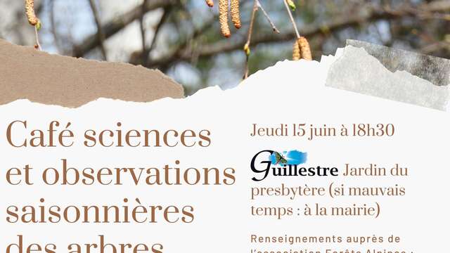 Café sciences et observations des arbres