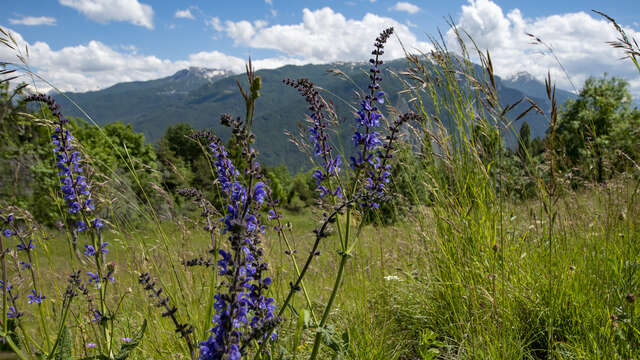 On dirait le Sud… en gravel