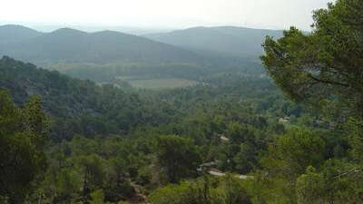 Roques hautes - circuit VTT 3