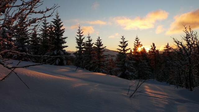 Snowy Bisanne mountain pasture