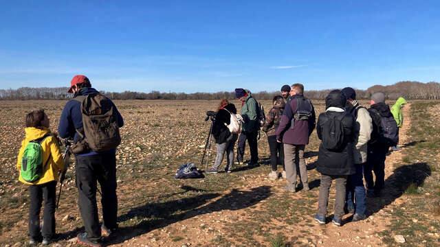 Visite de la Réserve naturelle des coussouls de Crau