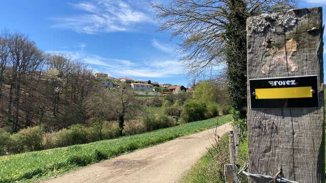 Sentier entre Loire et Rhône