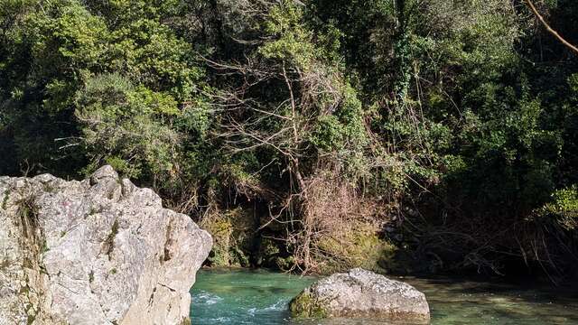 Les gorges de la Siagne - Espace Natura 2000