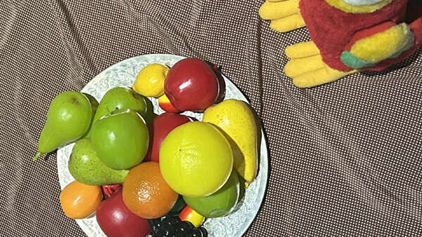 Visites animées en famille "Nature peinture !"