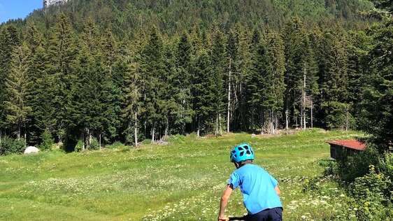 VTT AE Brun sport - Ecole de Porte