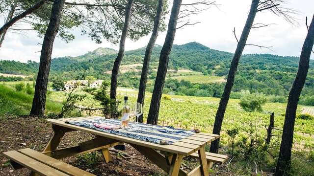 Table de pique-nique au Clos de Caveau