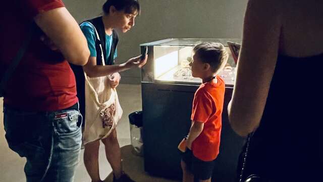 Jouez avec la Préhistoire !