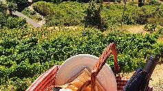 Panier champêtre - Domaine de la Ferme Saint Martin