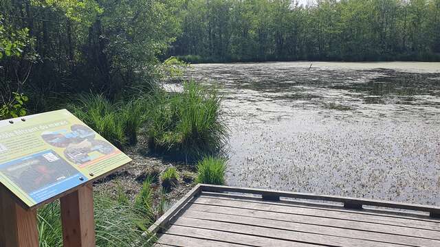 Etangs de Bizadan et de But hiking trail - Voie royale