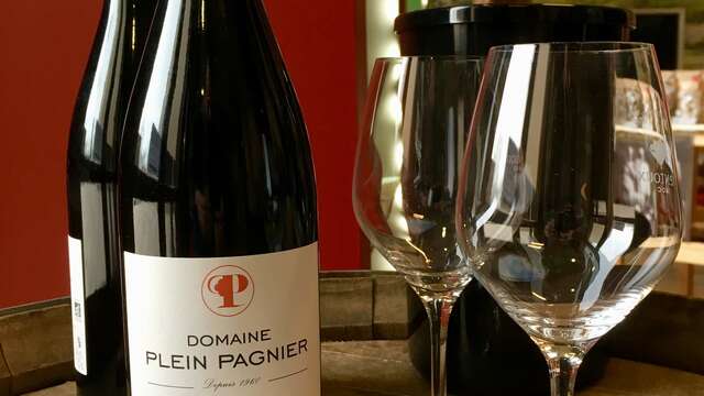 Dégustation vigneronne au Domaine Plein Pagnier