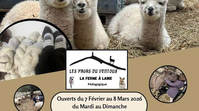 Vacances d'hiver aux Pagas du Ventoux