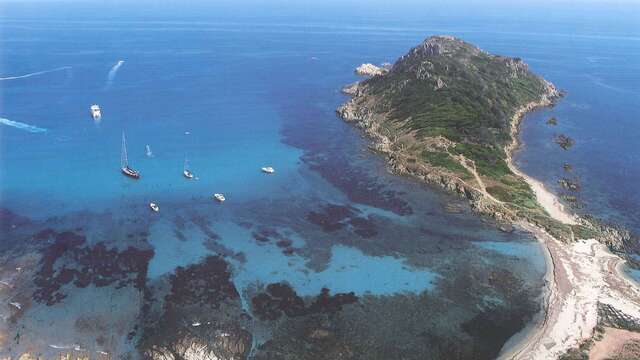 Boat trip to the wild capes - Vedettes Îles d'Or et Le Corsaire