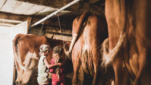 Découverte de la vie à la ferme