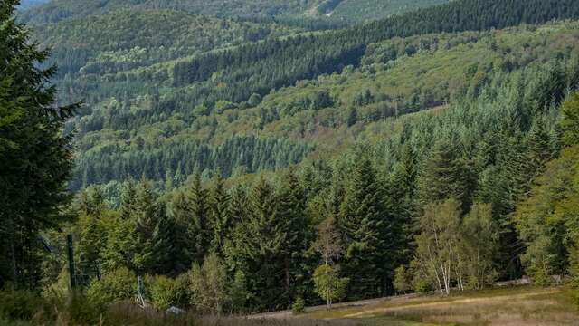 Plateau de la Loge-des-Gardes - Forêt domaniale de l'Assise