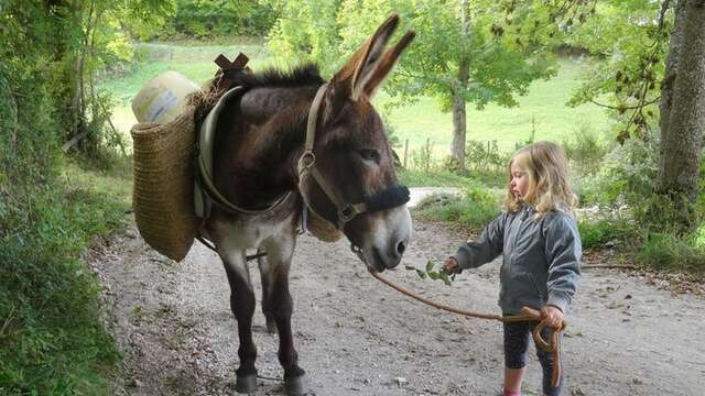 Barroud'âne en Vercors