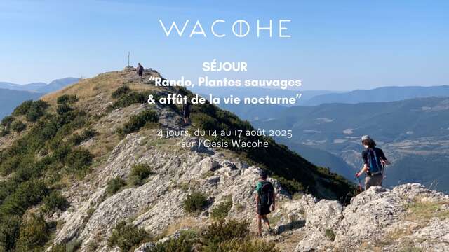 Séjour 'Rando, plantes sauvages & Affût de la vie nocturne' - Wacohe