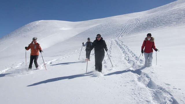Sorties raquettes - Accompagnateurs en montagne du Champsaur