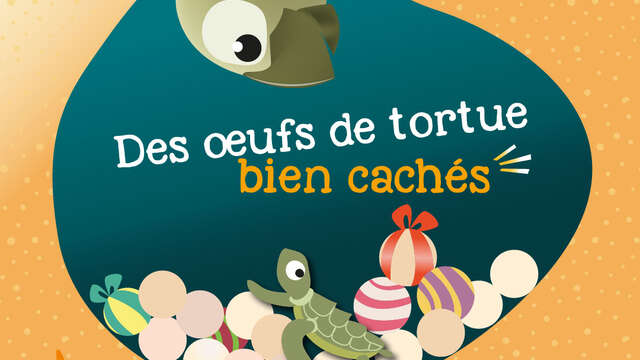 Des oeufs de tortue bien cachés !