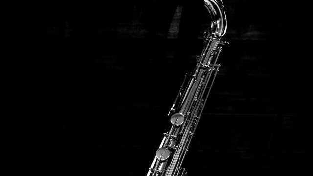 Animations musicales de Noël - saxophoniste