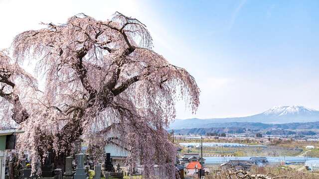 Conférence - Le Mont Fuji : une montagne aux mille visages, entre héritages religieux et représentations extérieures