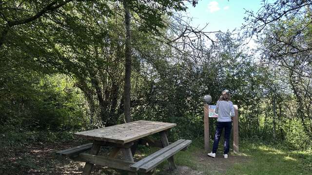 Sentier pédagogique sensitif de la Réserve de Biterne