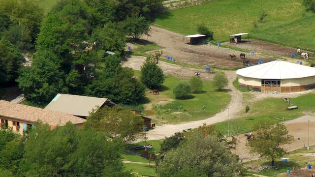 Stage d'équitation