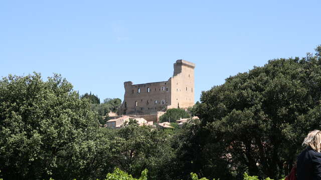 Châteauneuf-du-Pape