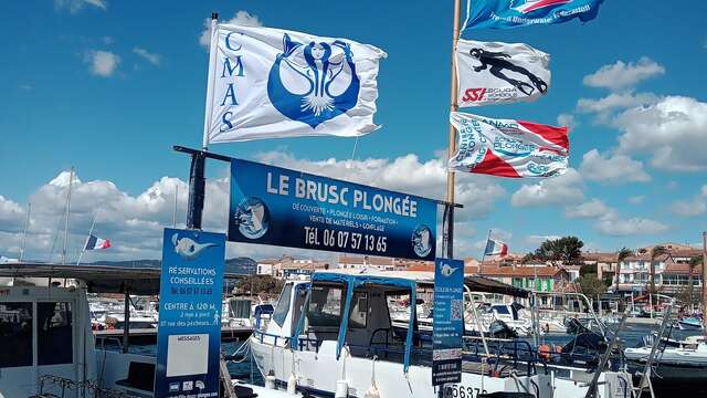 Le Brusc Plongée