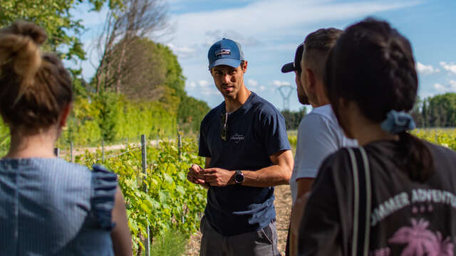 Visite de cave au Domaine de Chantegut