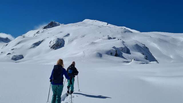 Splitboard
