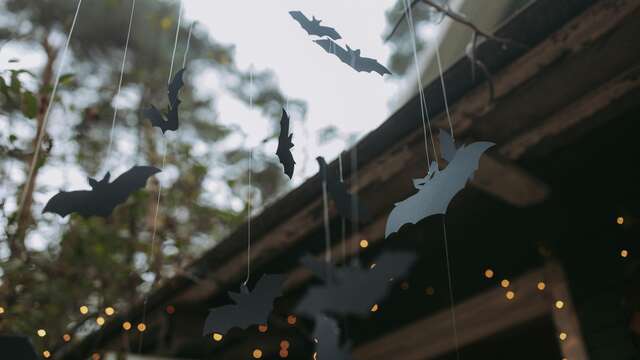 Atelier enfant : “Confectionne ta chauve-souris”