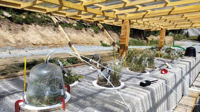 Conférence : Le microbiome des sols alpins