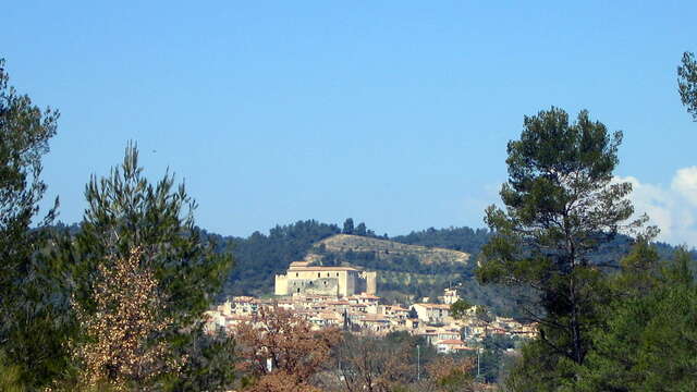 Balade nature : Les charbonniers de Haute Provence