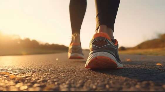 Courses de la Cité des Papes