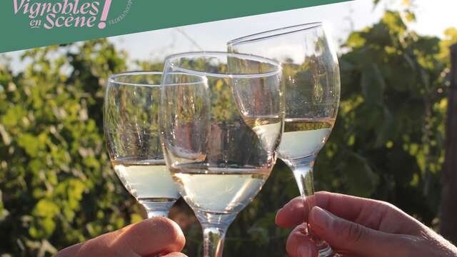 Visite et dégustation - Cave de Tain - Vignobles en scène