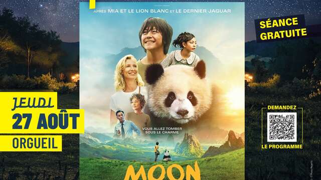 Ciné Plein Air /" Moon le panda "