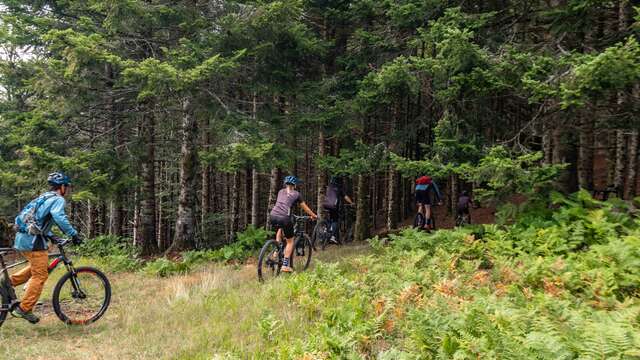 N°22 – Initiatique - Espace VTT-FFC Massif des Bois Noirs