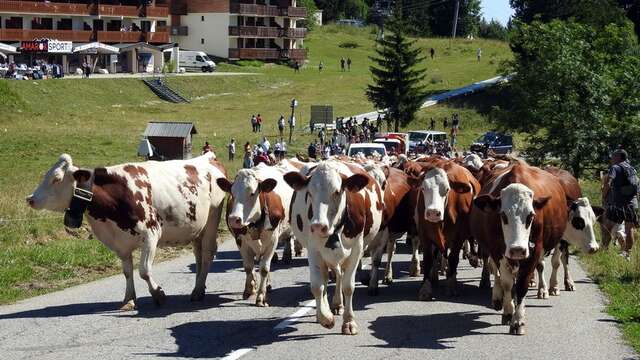 Fête des Alpages du Mont Revard