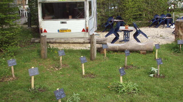 Jardin ethnobotanique au camping de l'Ourson